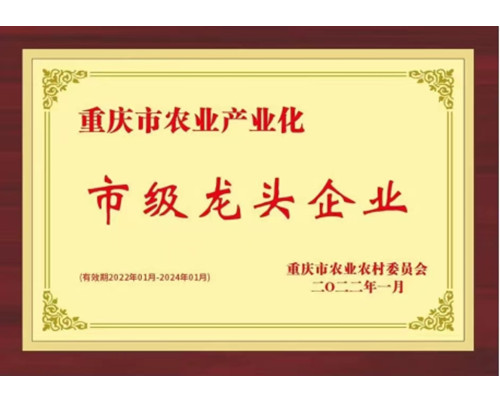 市级龙头企业