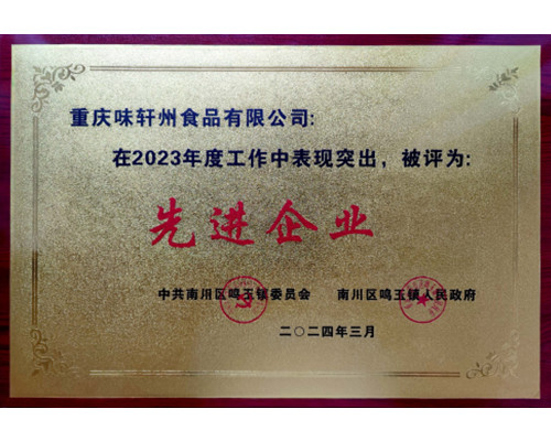 2023年度先进企业