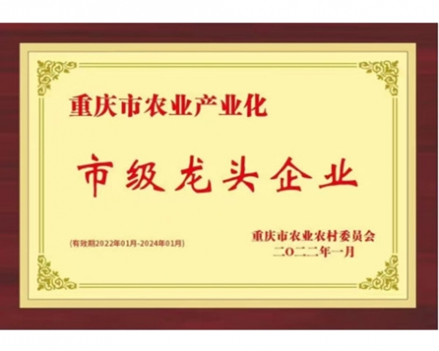市级龙头企业