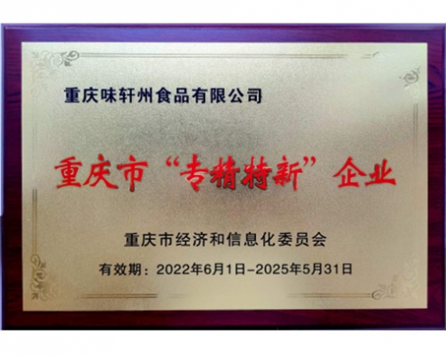 重庆市“专精特新”企业